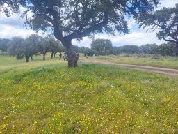 2025-02-23  THE GAME - TWO FIVE